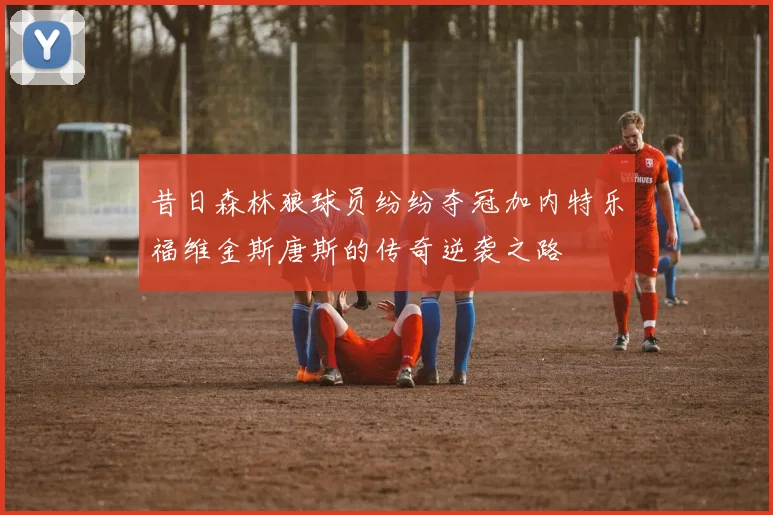 昔日森林狼球员纷纷夺冠加内特乐福维金斯唐斯的传奇逆袭之路